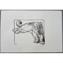 Tigre couché