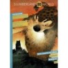 Slumberland n° 48
