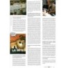 Slumberland n° 48