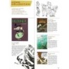 Delcourt Catalogue 2002
