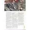 BM Mag