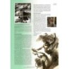 Alfonz n° 3/2021