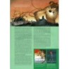 Alfonz n° 3/2021