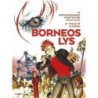 Spirou : Bornéos lys