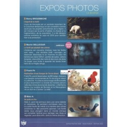 Expos photos Nature Aves