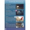 Expos photos Nature Aves