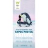 Expos photos Nature Aves