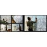 Expos photos Nature Aves