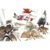 Expo Grandeur Nature Snel
