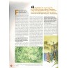 DBD n° 188