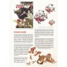 Spirou 4578