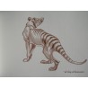 Mémoire d'un zoo esquisses