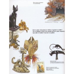 Entre chats