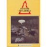 Auteurs enflammés