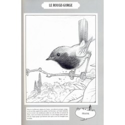 Animaux sous bulles