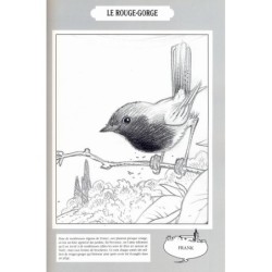 Animaux sous bulles