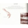 Ateliers zoo