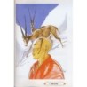Tintouin au Tibet