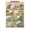 L'hebdo des juniors n° 389