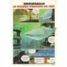 L'hebdo des juniors n° 391
