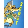 Scout pass