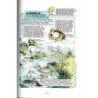 Carnets d'explorations