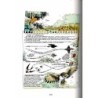 Carnets d'explorations