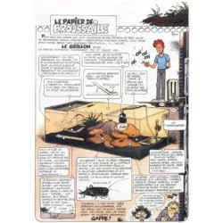 Le soir Junior n° 50
