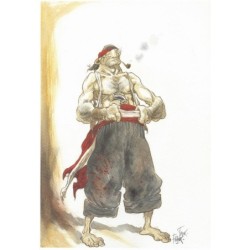 Corsaires et pirates
