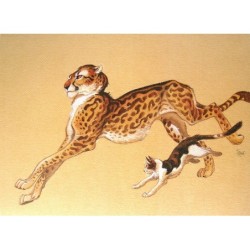 Félineries