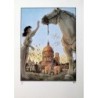 Manon et le cheval