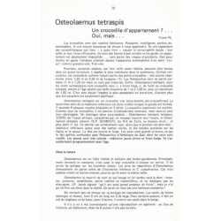 C.O.B.R.A n° 11