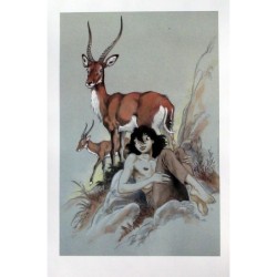 Manon et antilopes