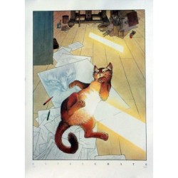 Entre chats