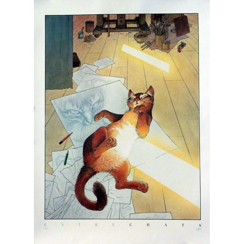 Entre chats