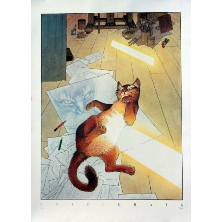 Entre chats