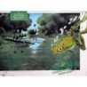 Grenouille