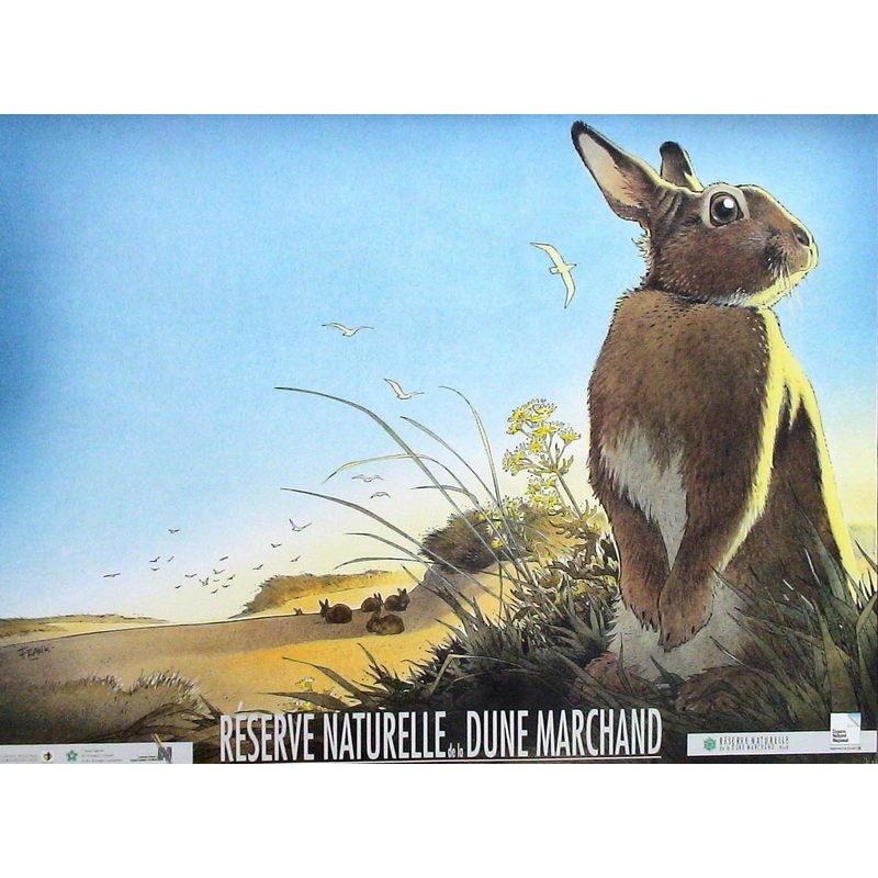 Lapin