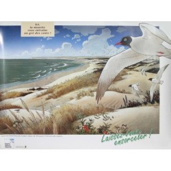 Mouette