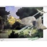 Pigeon