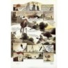 Broussaille Les papier de Broussaille luxe
