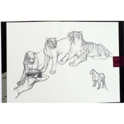 Zoo 1