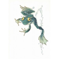 La Grenouille verte