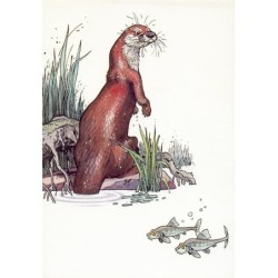 La loutre