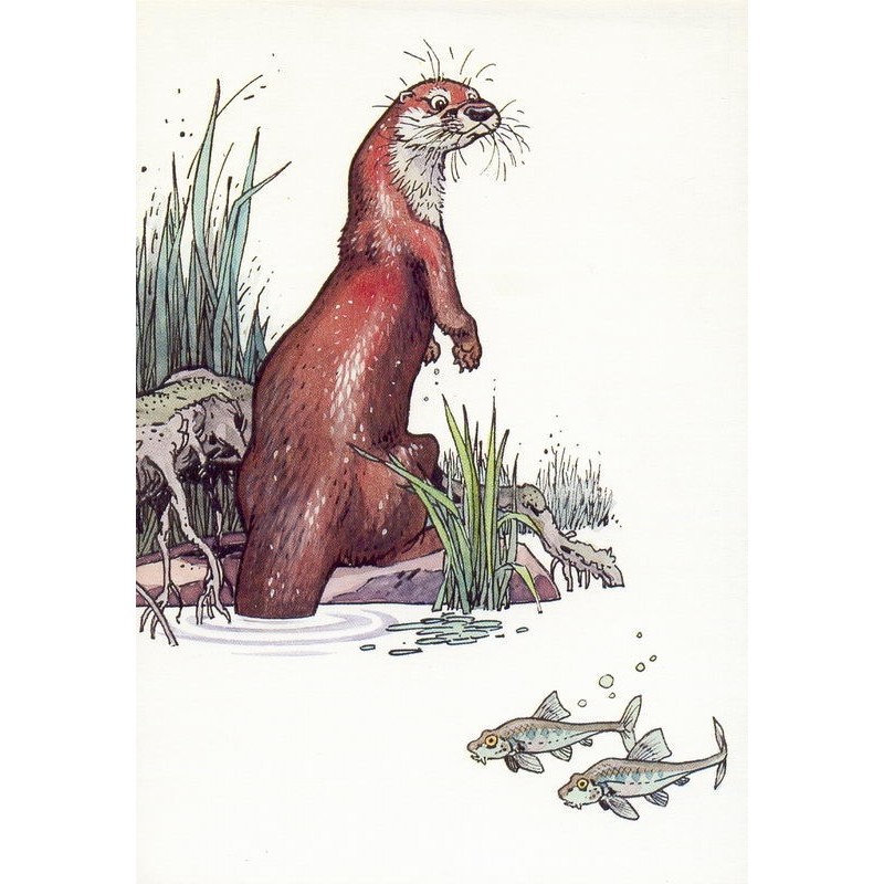 La loutre
