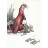 La loutre