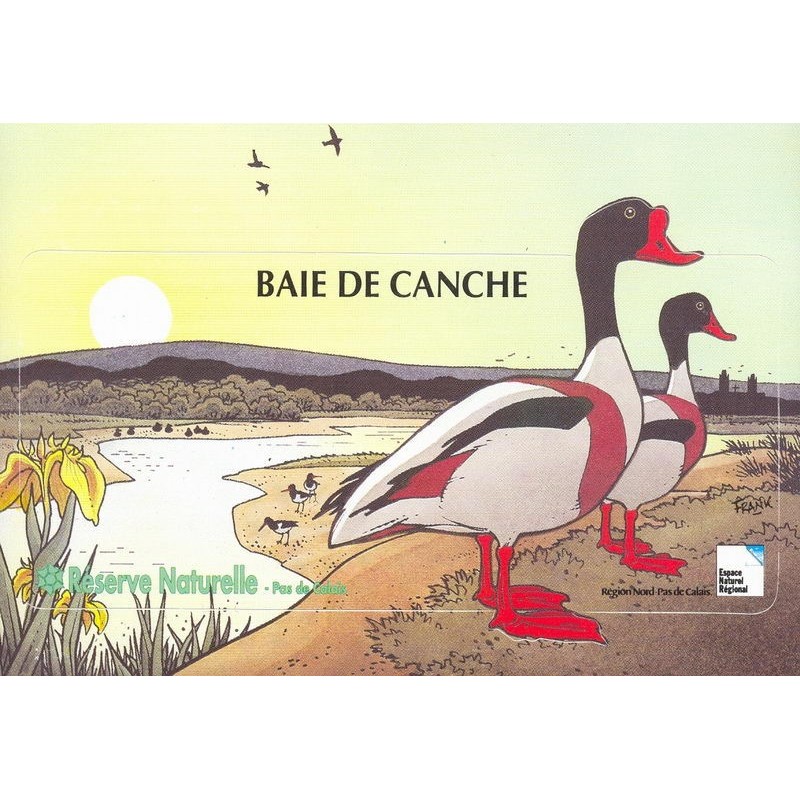 Baie de Canche