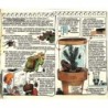 Spirou 2172
