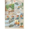 Spirou album + n° 6